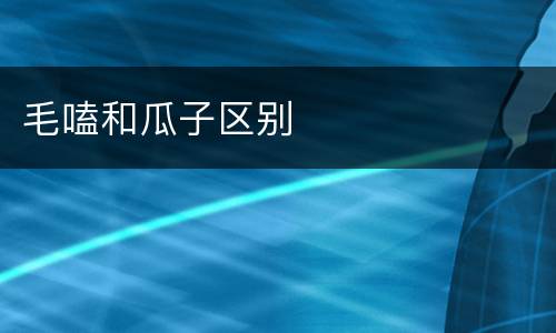 毛嗑和瓜子区别