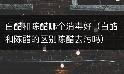 白醋和陈醋哪个消毒好（白醋和陈醋的区别陈醋去污吗）