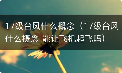 17级台风什么概念（17级台风什么概念 能让飞机起飞吗）