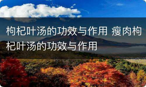 枸杞叶汤的功效与作用 瘦肉枸杞叶汤的功效与作用