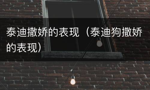 泰迪撒娇的表现（泰迪狗撒娇的表现）