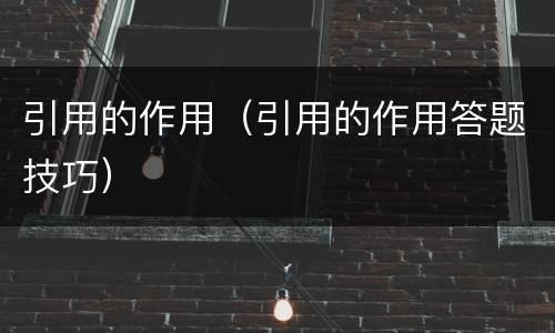 引用的作用（引用的作用答题技巧）