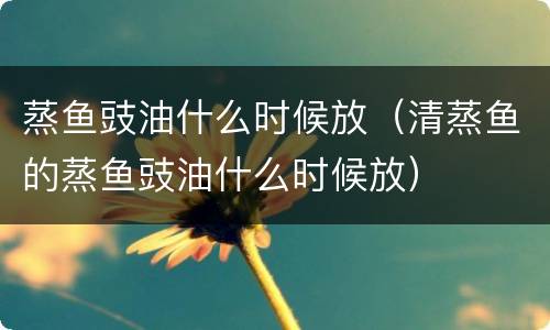 蒸鱼豉油什么时候放（清蒸鱼的蒸鱼豉油什么时候放）