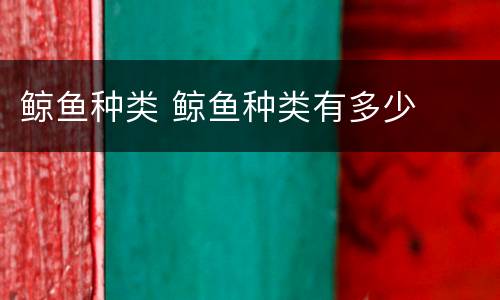 鲸鱼种类 鲸鱼种类有多少