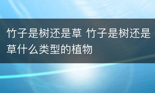 竹子是树还是草 竹子是树还是草什么类型的植物