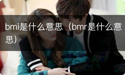 bmi是什么意思（bmr是什么意思）