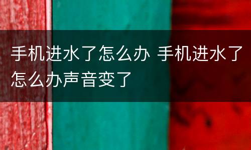 手机进水了怎么办 手机进水了怎么办声音变了