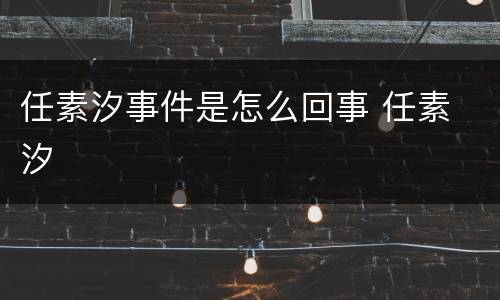 任素汐事件是怎么回事 任素 汐