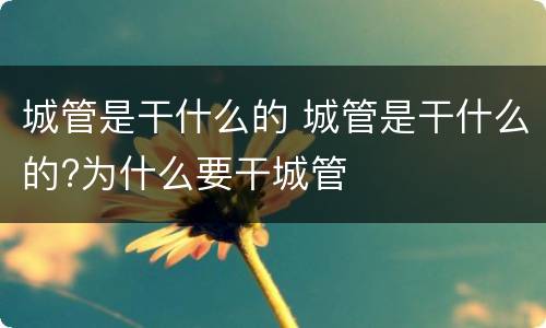城管是干什么的 城管是干什么的?为什么要干城管