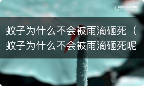 蚊子为什么不会被雨滴砸死（蚊子为什么不会被雨滴砸死呢）