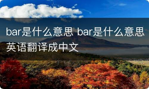 bar是什么意思 bar是什么意思英语翻译成中文