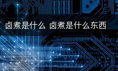 卤煮是什么 卤煮是什么东西