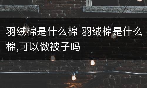 羽绒棉是什么棉 羽绒棉是什么棉,可以做被子吗