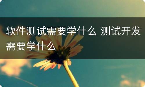 软件测试需要学什么 测试开发需要学什么