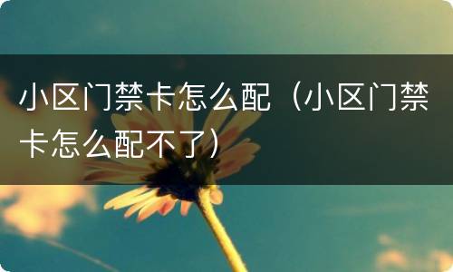 小区门禁卡怎么配（小区门禁卡怎么配不了）