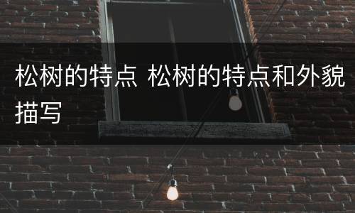 松树的特点 松树的特点和外貌描写