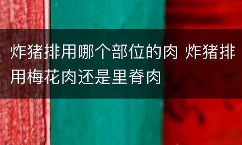 炸猪排用哪个部位的肉 炸猪排用梅花肉还是里脊肉