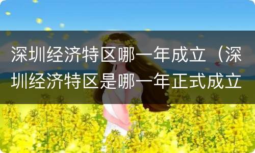 深圳经济特区哪一年成立（深圳经济特区是哪一年正式成立的）