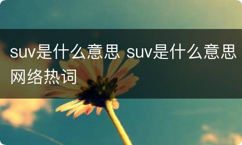 suv是什么意思 suv是什么意思网络热词