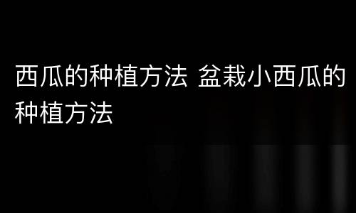 西瓜的种植方法 盆栽小西瓜的种植方法
