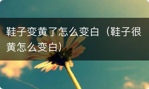 鞋子变黄了怎么变白（鞋子很黄怎么变白）