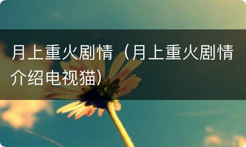 月上重火剧情（月上重火剧情介绍电视猫）