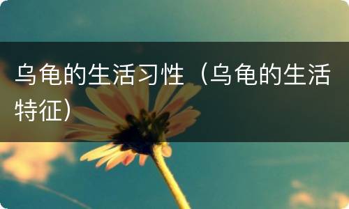 乌龟的生活习性（乌龟的生活特征）
