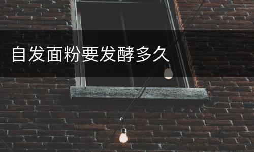 自发面粉要发酵多久