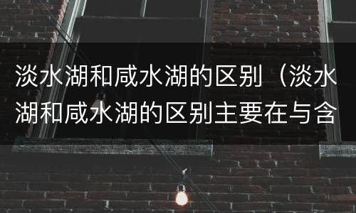 淡水湖和咸水湖的区别（淡水湖和咸水湖的区别主要在与含盐度。‌(3分AB）