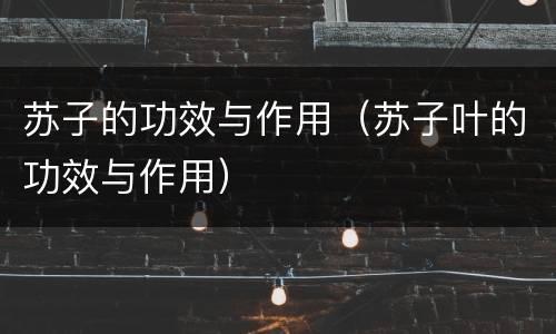 苏子的功效与作用（苏子叶的功效与作用）