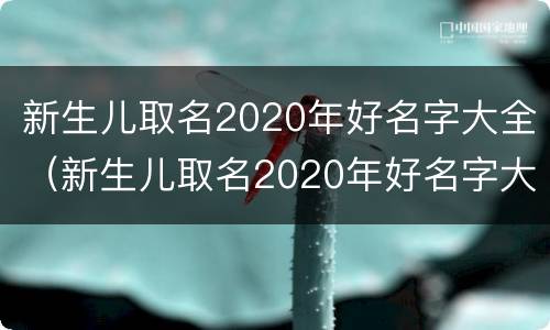 新生儿取名2020年好名字大全（新生儿取名2020年好名字大全男）