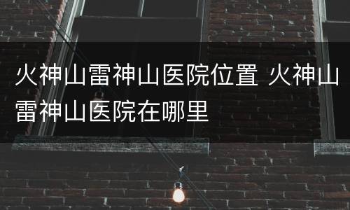 火神山雷神山医院位置 火神山雷神山医院在哪里