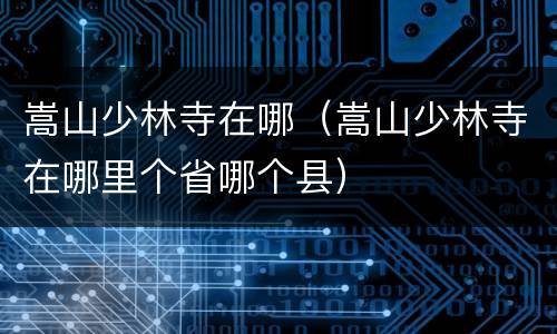 嵩山少林寺在哪（嵩山少林寺在哪里个省哪个县）