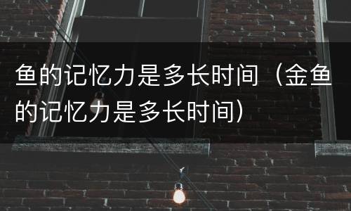 鱼的记忆力是多长时间（金鱼的记忆力是多长时间）