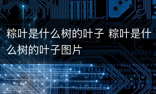 粽叶是什么树的叶子 粽叶是什么树的叶子图片