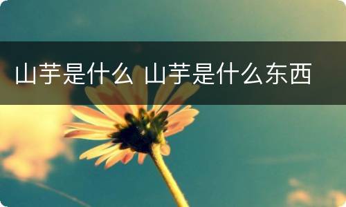 山芋是什么 山芋是什么东西