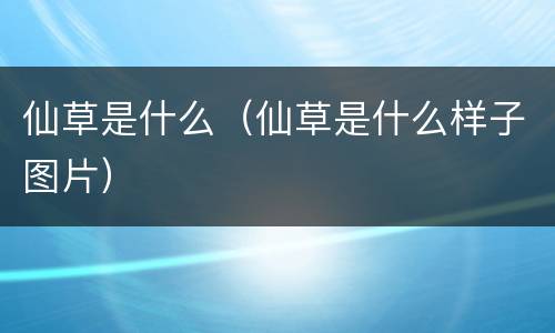 仙草是什么（仙草是什么样子图片）