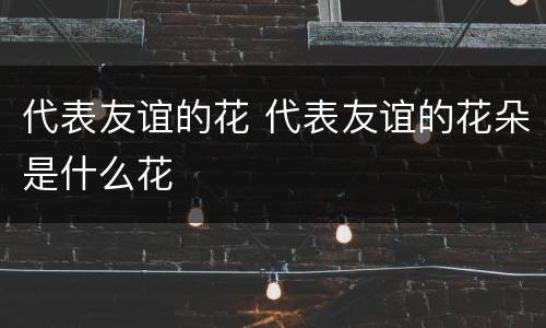 代表友谊的花 代表友谊的花朵是什么花
