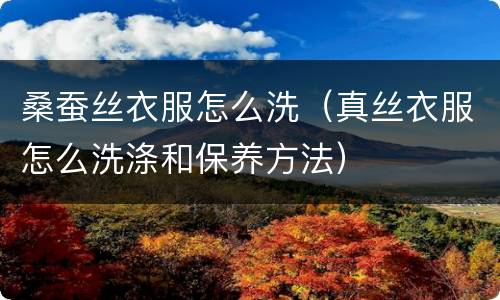 桑蚕丝衣服怎么洗（真丝衣服怎么洗涤和保养方法）
