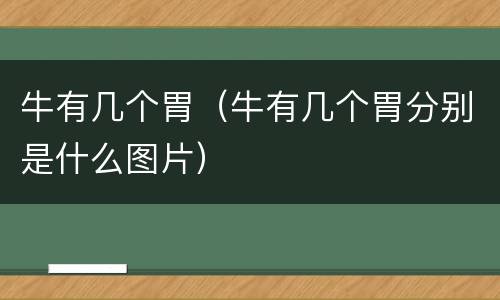 牛有几个胃（牛有几个胃分别是什么图片）