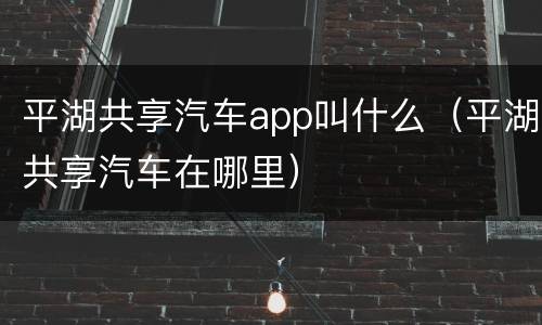 平湖共享汽车app叫什么（平湖共享汽车在哪里）
