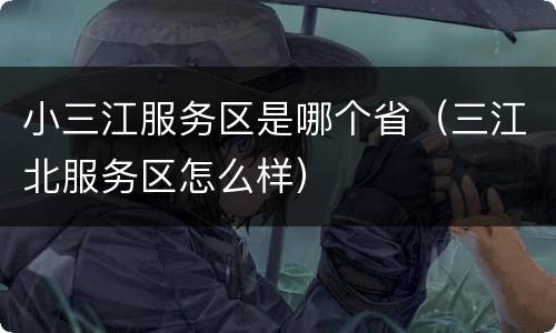 小三江服务区是哪个省（三江北服务区怎么样）