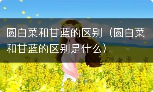 圆白菜和甘蓝的区别（圆白菜和甘蓝的区别是什么）