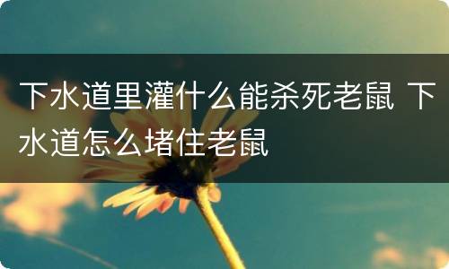 下水道里灌什么能杀死老鼠 下水道怎么堵住老鼠