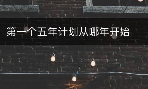 第一个五年计划从哪年开始