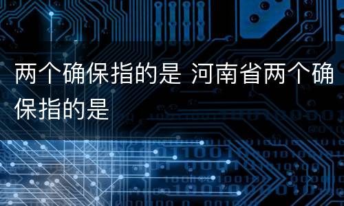 两个确保指的是 河南省两个确保指的是