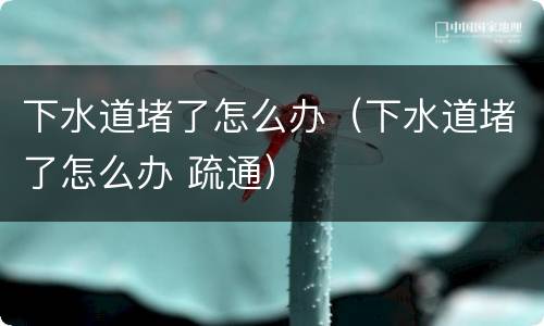 下水道堵了怎么办（下水道堵了怎么办 疏通）