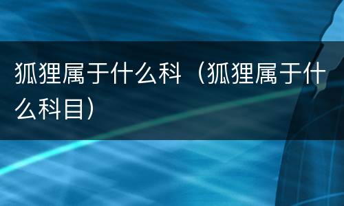狐狸属于什么科（狐狸属于什么科目）