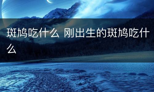 斑鸠吃什么 刚出生的斑鸠吃什么