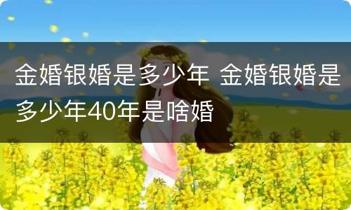 金婚银婚是多少年 金婚银婚是多少年40年是啥婚